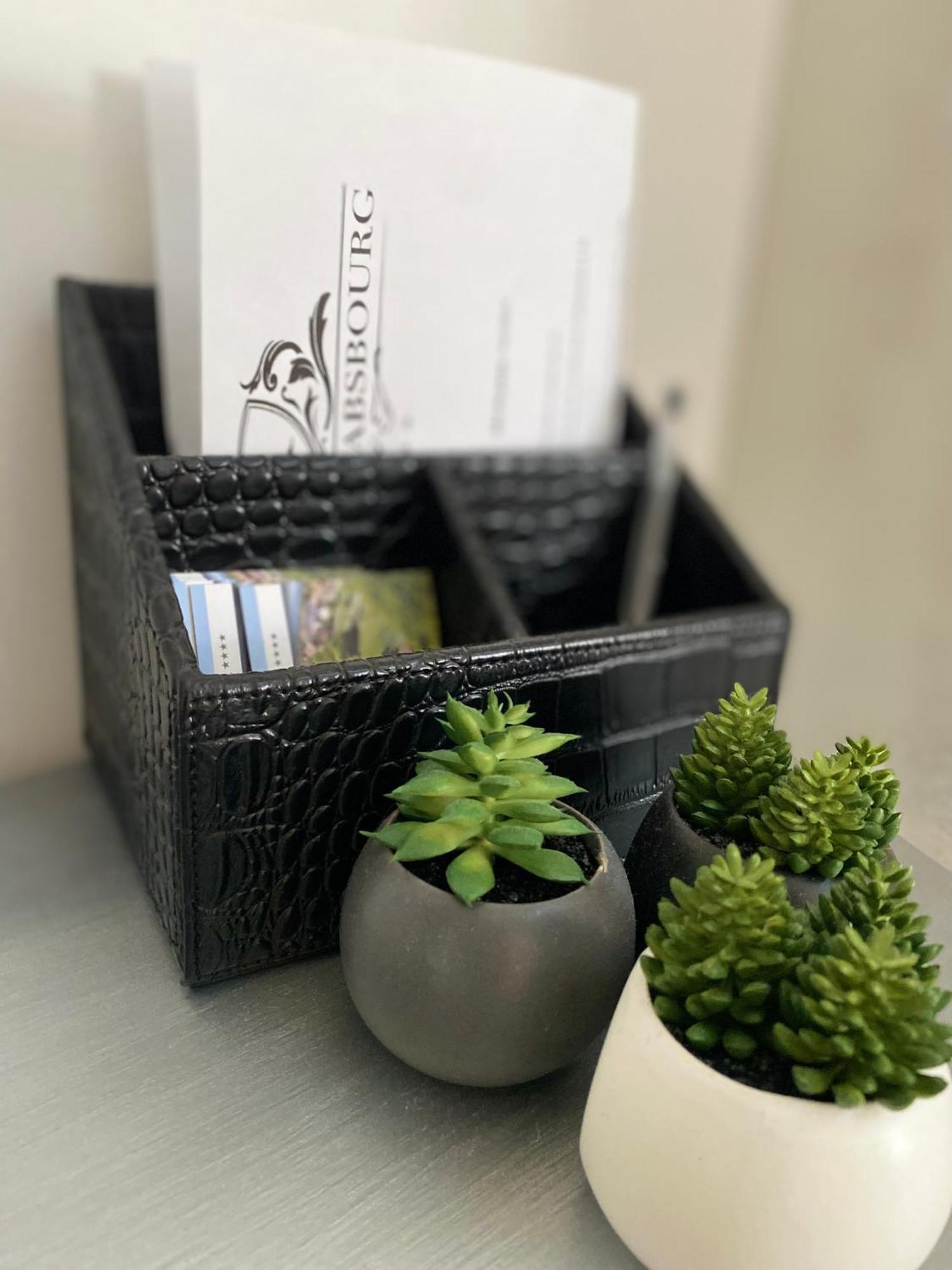 Les Rives Des Habsbourg Aparthotel Ensisheim Luaran gambar